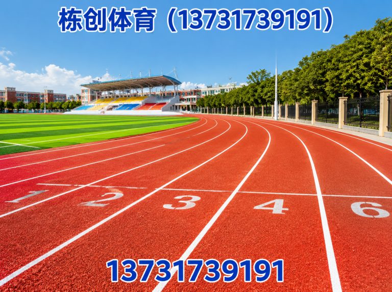 沧州硅PU球场展示图